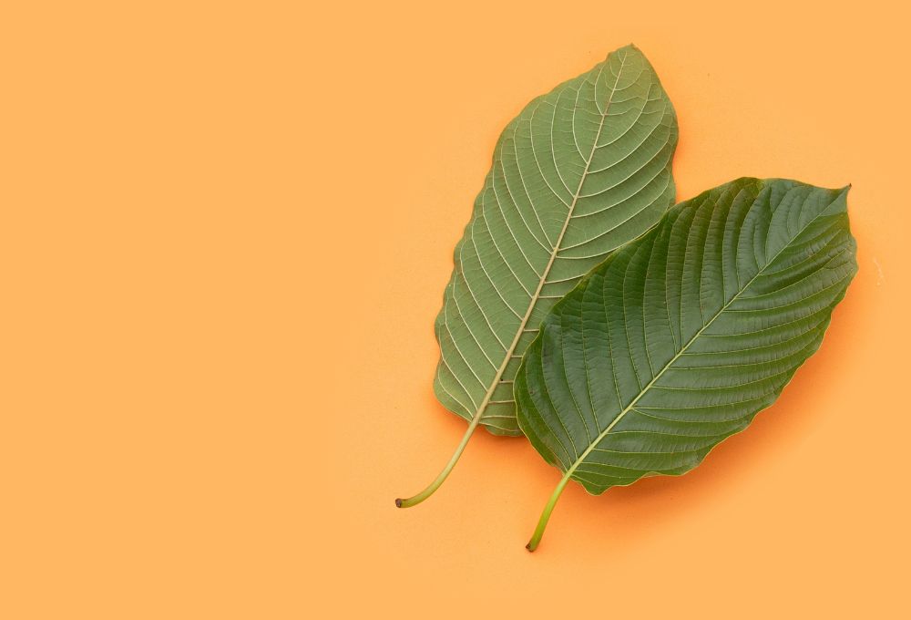 kratom  (3)